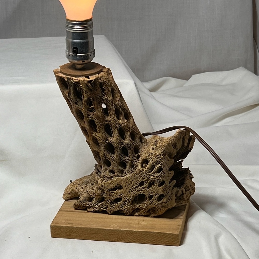 COPY - Natural cholla, cactus skeleton, vintage antique lamp, 60s works great